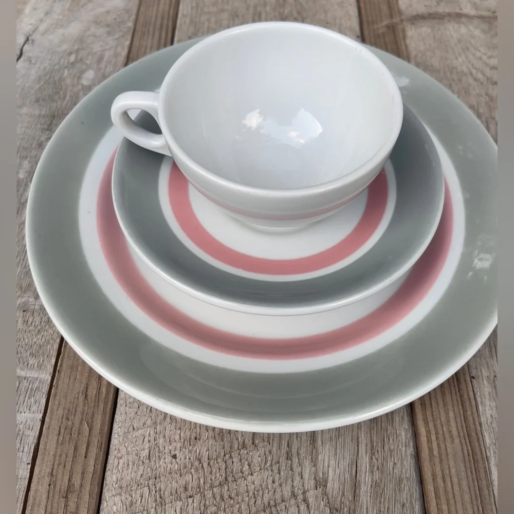 Shenango 50’s Retro MCM Gray & Pink Dinner Plate Tea Cup & Saucer Set